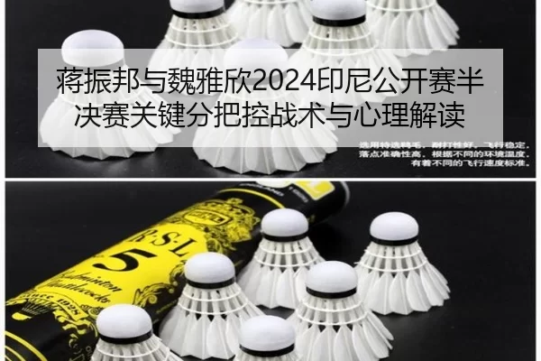 jiang-zhen-bang-yu-wei-ya-xin-yin-ni-gong-kai-sai-ban-jue-sai-guan-jian-fen-ba-kong-zhan-shu-yu-xin-li-jie-du-2-728.jpg